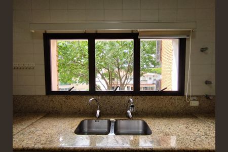 Cozinha - Armários de apartamento à venda com 4 quartos, 216m² em Aclimação, São Paulo