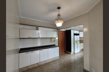 Apartamento à venda com 216m², 4 quartos e 3 vagasCozinha - Armários