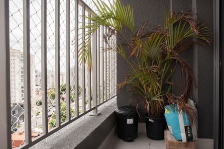 Varanda do Quarto de apartamento à venda com 2 quartos, 68m² em Vila da Saúde, São Paulo