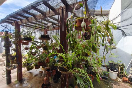 Casa à venda com 173m², 3 quartos e 6 vagasJardim