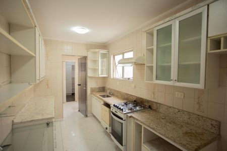 Apartamento à venda com 127m², 3 quartos e 3 vagasCOZINHA