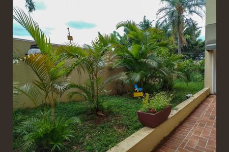 Apartamento para alugar com 60m², 2 quartos e 1 vaga Apartamento para alugar com 60m², 2 quartos e 1 vagaÁrea comum - jardim