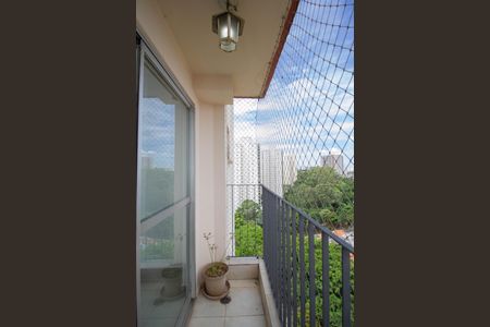 Varanda da Sala de apartamento para alugar com 2 quartos, 55m² em Vila Amélia, São Paulo
