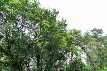 Casa à venda com 145m², 2 quartos e 1 vagaVista da Área de Serviço