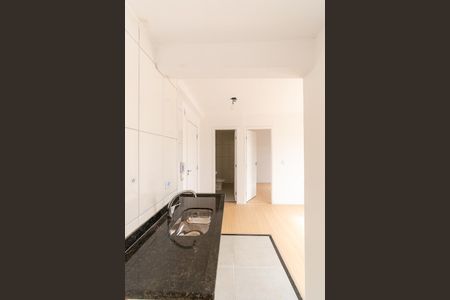 Apartamento para alugar com 48m², 2 quartos e sem vaga Apartamento para alugar com 48m², 2 quartos e sem vagaCozinha