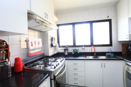 Apartamento à venda com 167m², 3 quartos e 3 vagascozinha