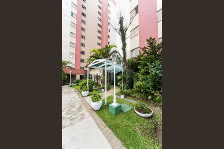 Apartamento para alugar com 65m², 3 quartos e 1 vaga Apartamento para alugar com 65m², 3 quartos e 1 vagaÁrea comum