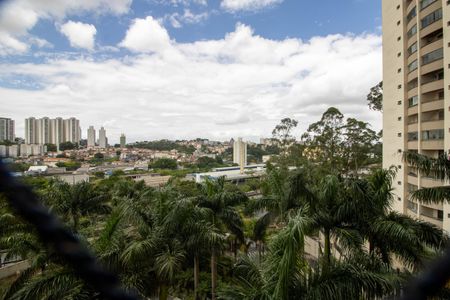 Apartamento à venda com 120m², 4 quartos e 2 vagasVista Varanda da suíte 