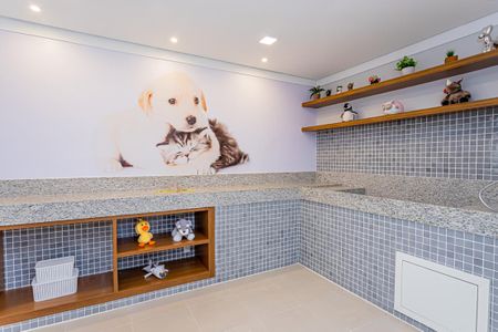 Apartamento para alugar com 32m², 2 quartos e sem vaga Apartamento para alugar com 32m², 2 quartos e sem vagaPet care