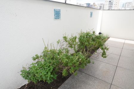 Studio à venda com 24m², 1 quarto e sem vagaHorta Comunitaria