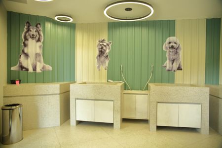 Apartamento para alugar com 54m², 2 quartos e 1 vagaEspaço PET 