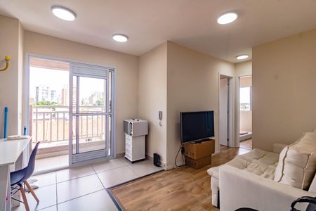 Apartamento para alugar com 2 quartos, 38m² em Vila Santa Catarina, São Paulo