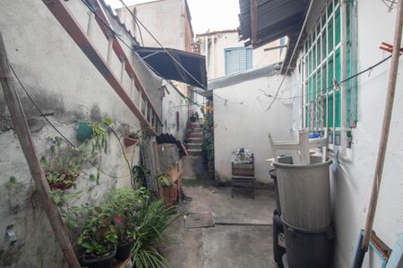 Casa para alugar com 75m², 3 quartos e sem vagaQuintal