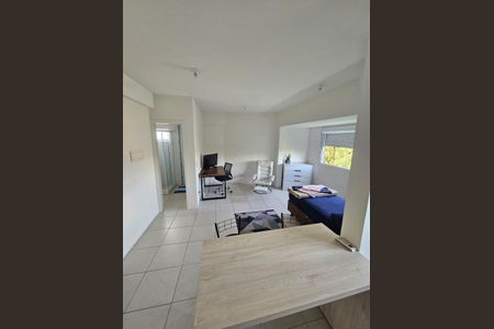 Studio Sala/quarto/cozinha de apartamento para alugar com 1 quarto, 40m² em Santo Antônio, Porto Alegre