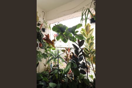 Sala Sacada  de apartamento à venda com 2 quartos, 77m² em Vila Helena, São Bernardo do Campo