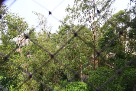 Apartamento para alugar com 109m², 3 quartos e 2 vagas Apartamento para alugar com 109m², 3 quartos e 2 vagasquarto 2 vista