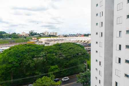 Apartamento para alugar com 88m², 3 quartos e 2 vagas Apartamento para alugar com 88m², 3 quartos e 2 vagasVista do Quarto 1