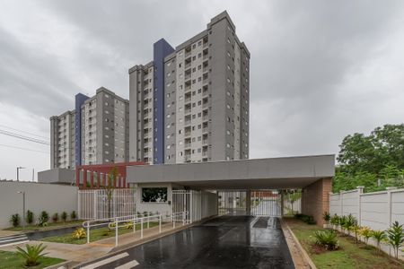 Apartamento para alugar com 56m², 2 quartos e 1 vagaFachada e Portaria  