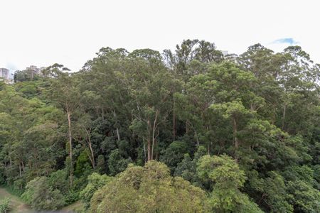 Apartamento à venda com 60m², 2 quartos e 1 vaga Apartamento à venda com 60m², 2 quartos e 1 vagaVista da Varanda