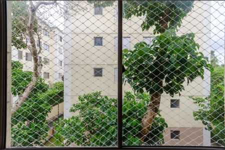 Sala - Janela de apartamento para alugar com 2 quartos, 59m² em Vila Jaraguá, São Paulo