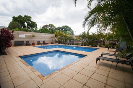 Apartamento para alugar com 52m², 2 quartos e 1 vaga Apartamento para alugar com 52m², 2 quartos e 1 vagaÁrea comum - Piscina