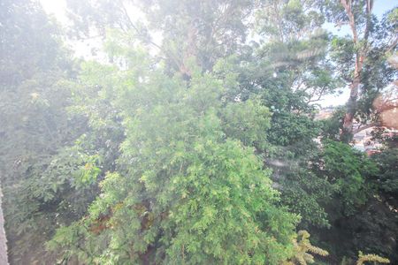 Vista do Quarto 1 de apartamento à venda com 2 quartos, 38m² em Jardim Umarizal, São Paulo