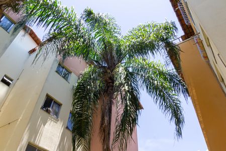 Apartamento para alugar com 52m², 2 quartos e 1 vagaÁrea externa