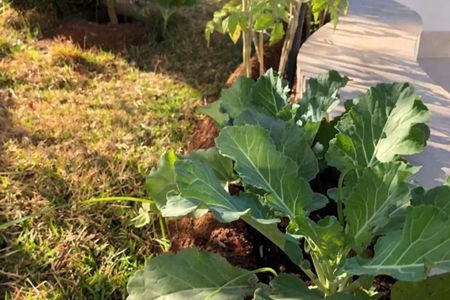 Foto 13 de apartamento à venda com 4 quartos, 355m² em Vila Monte Alegre, São Paulo