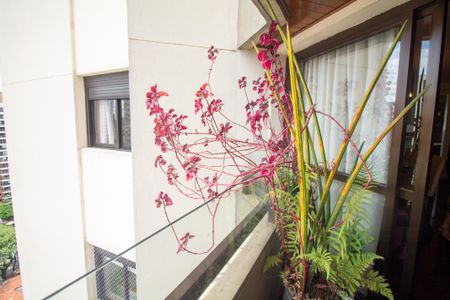 Apartamento para alugar com 158m², 3 quartos e 2 vagasTerraço