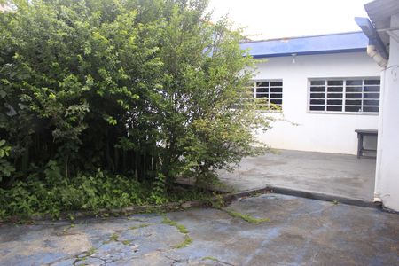 Casa à venda com 240m², 4 quartos e 4 vagasQuintal com árvore frutifera