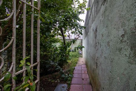 Casa para alugar com 200m², 3 quartos e 3 vagas Casa para alugar com 200m², 3 quartos e 3 vagasQuintal