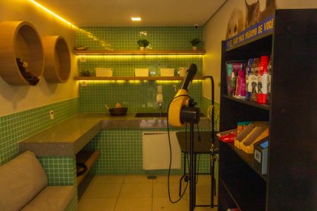 Apartamento para alugar com 38m², 1 quarto e sem vagaPetCare