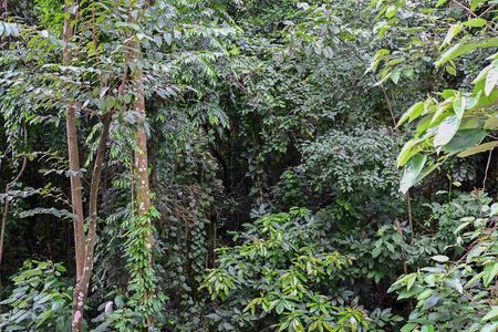 Apartamento à venda com 103m², 3 quartos e 2 vagasVista da Suíte