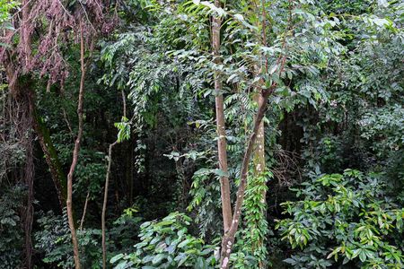 Apartamento à venda com 103m², 3 quartos e 2 vagasVista do Quarto 2