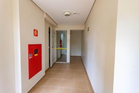 Apartamento à venda com 70m², 3 quartos e 2 vagasEntrada