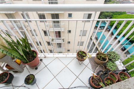 Apartamento à venda com 65m², 3 quartos e 1 vagaVaranda 