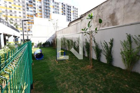 Apartamento à venda com 42m², 2 quartos e 1 vaga Apartamento à venda com 42m², 2 quartos e 1 vagaÁrea comum - Espaço Pet