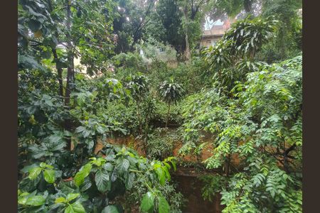 Vista do Quarto 1 de apartamento à venda com 2 quartos, 53m² em Catumbi, Rio de Janeiro