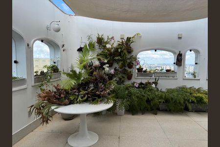 Apartamento à venda com 540m², 6 quartos e 5 vagas Apartamento à venda com 540m², 6 quartos e 5 vagasFoto 26