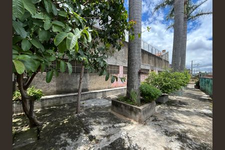 Apartamento para alugar com 59m², 2 quartos e 1 vaga Apartamento para alugar com 59m², 2 quartos e 1 vagaÁrea Pet