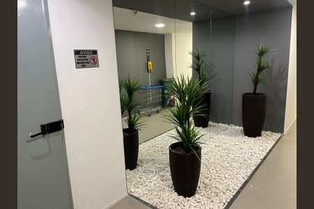 Apartamento para alugar com 50m², 3 quartos e 1 vagaEspaço elevador 