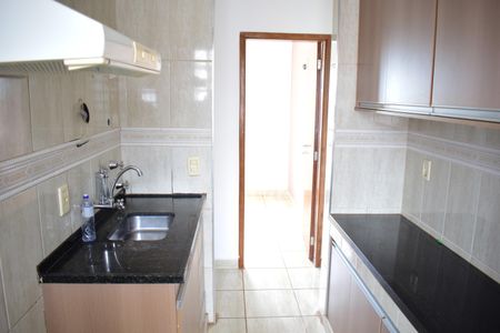 Apartamento para alugar com 45m², 2 quartos e 1 vagaCozinha - Armários