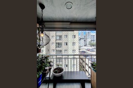 Varanda da Sala de apartamento à venda com 3 quartos, 63m² em Cambuci, São Paulo