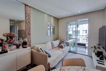 Apartamento à venda com 3 quartos, 63m² em Cambuci, São Paulo