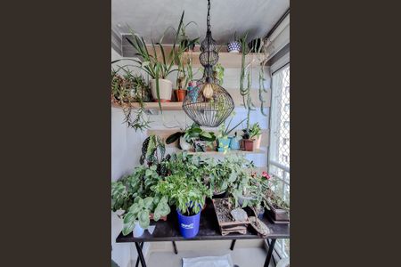 Varanda da Sala de apartamento à venda com 3 quartos, 63m² em Cambuci, São Paulo