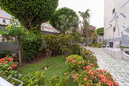 Apartamento para alugar com 55m², 2 quartos e 1 vaga Apartamento para alugar com 55m², 2 quartos e 1 vagaÁrea comum