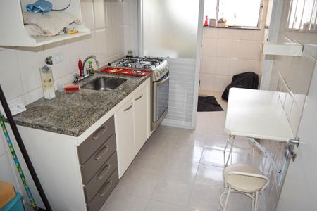 Cozinha de apartamento para alugar com 3 quartos, 50m² em Vila Carrão, São Paulo