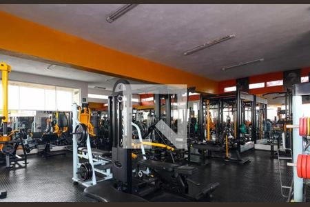 Apartamento para alugar com 58m², 3 quartos e 1 vaga Apartamento para alugar com 58m², 3 quartos e 1 vagaAcademia