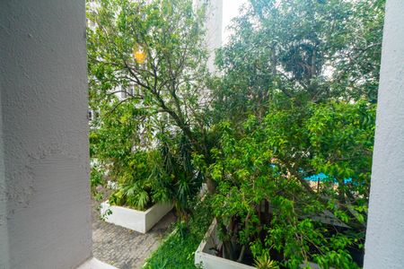 Vista do Quarto 1 de apartamento para alugar com 3 quartos, 70m² em Vila Nova Caledonia, São Paulo