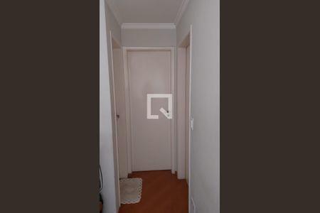 Corredor de apartamento para alugar com 2 quartos, 50m² em Vila Carmosina, São Paulo